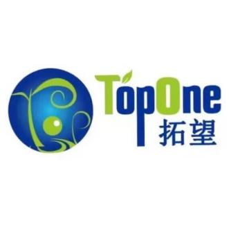 Topone logo
