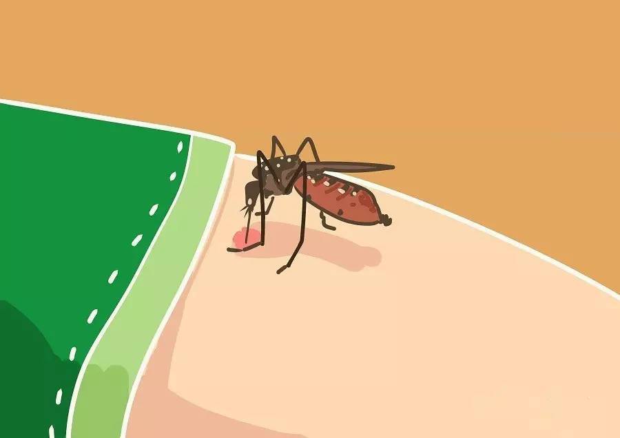 Prevention of mosquitoes (2)