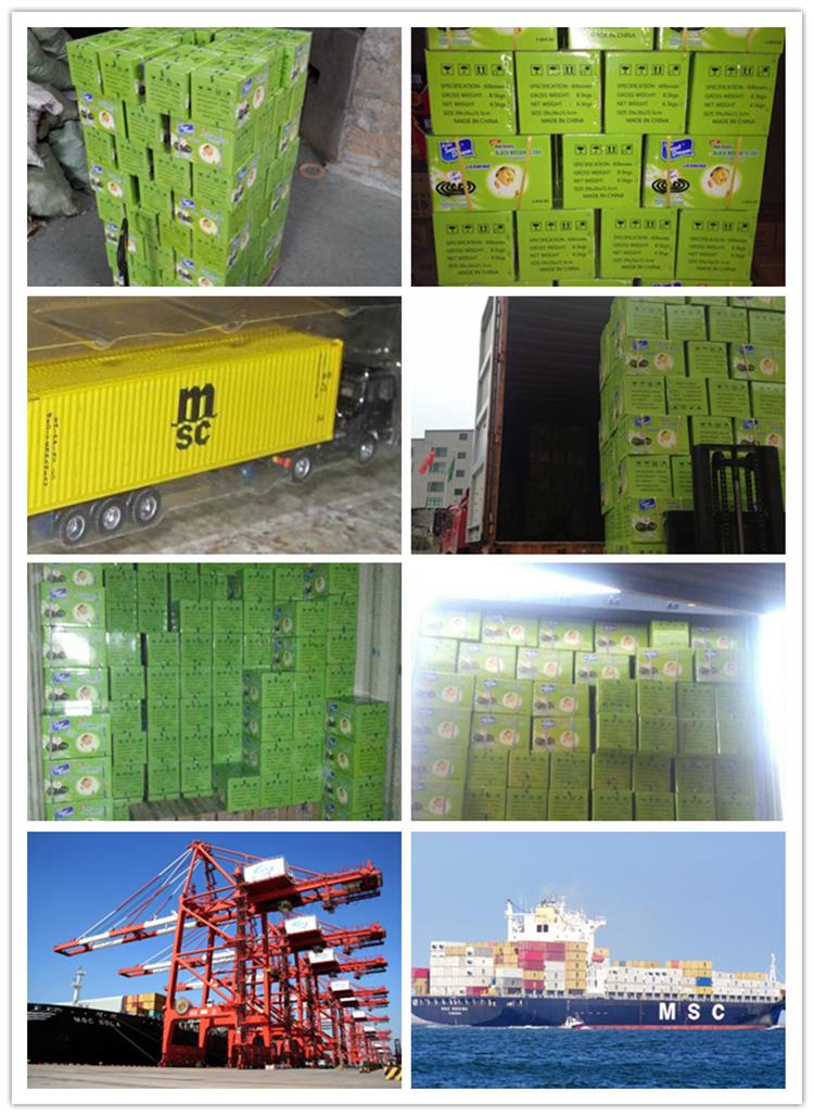 2. Shipping - Safe and effective outdoor use mosquito control killer coils.jpg