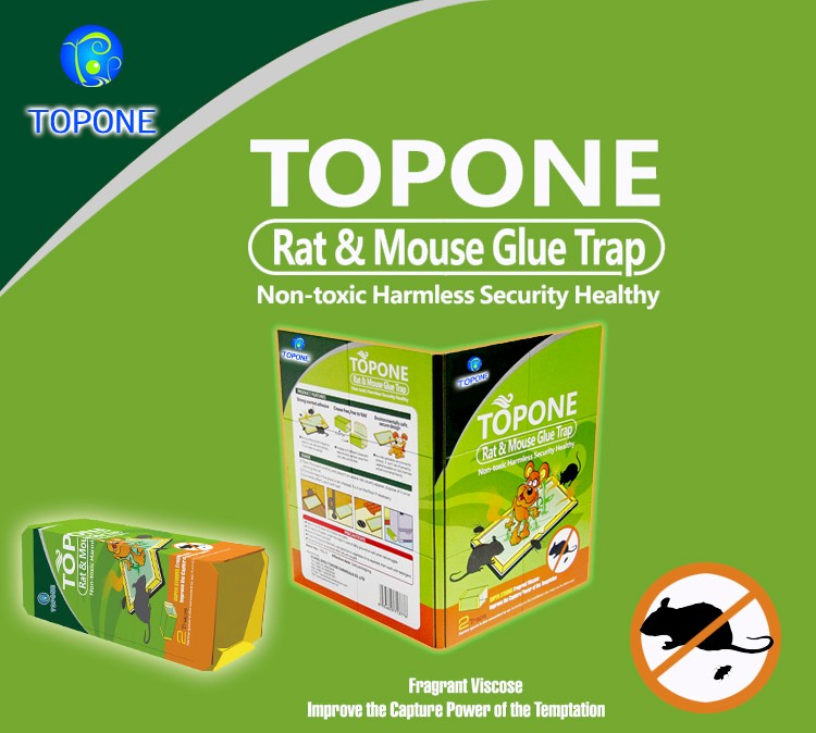 Mouse glue board