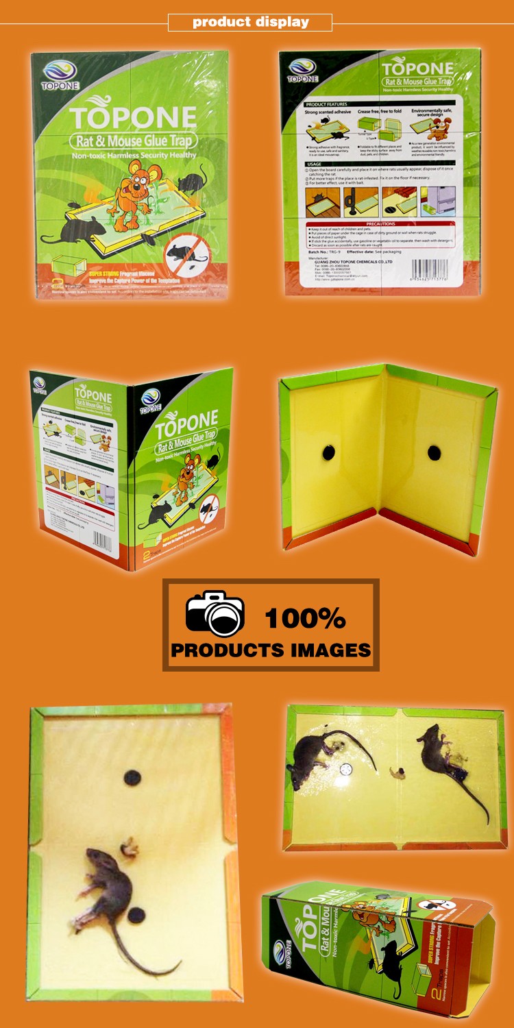 Mouse glue board
