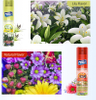 Air Freshener Automatic