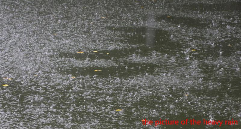雨天图片