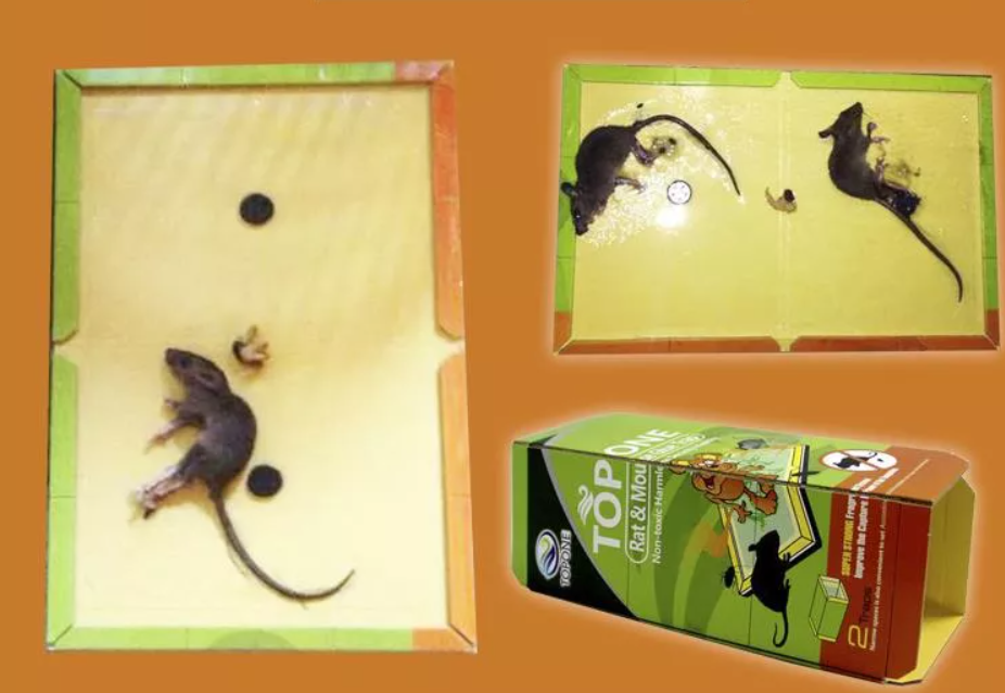 Sticky Mousetrap Benefits